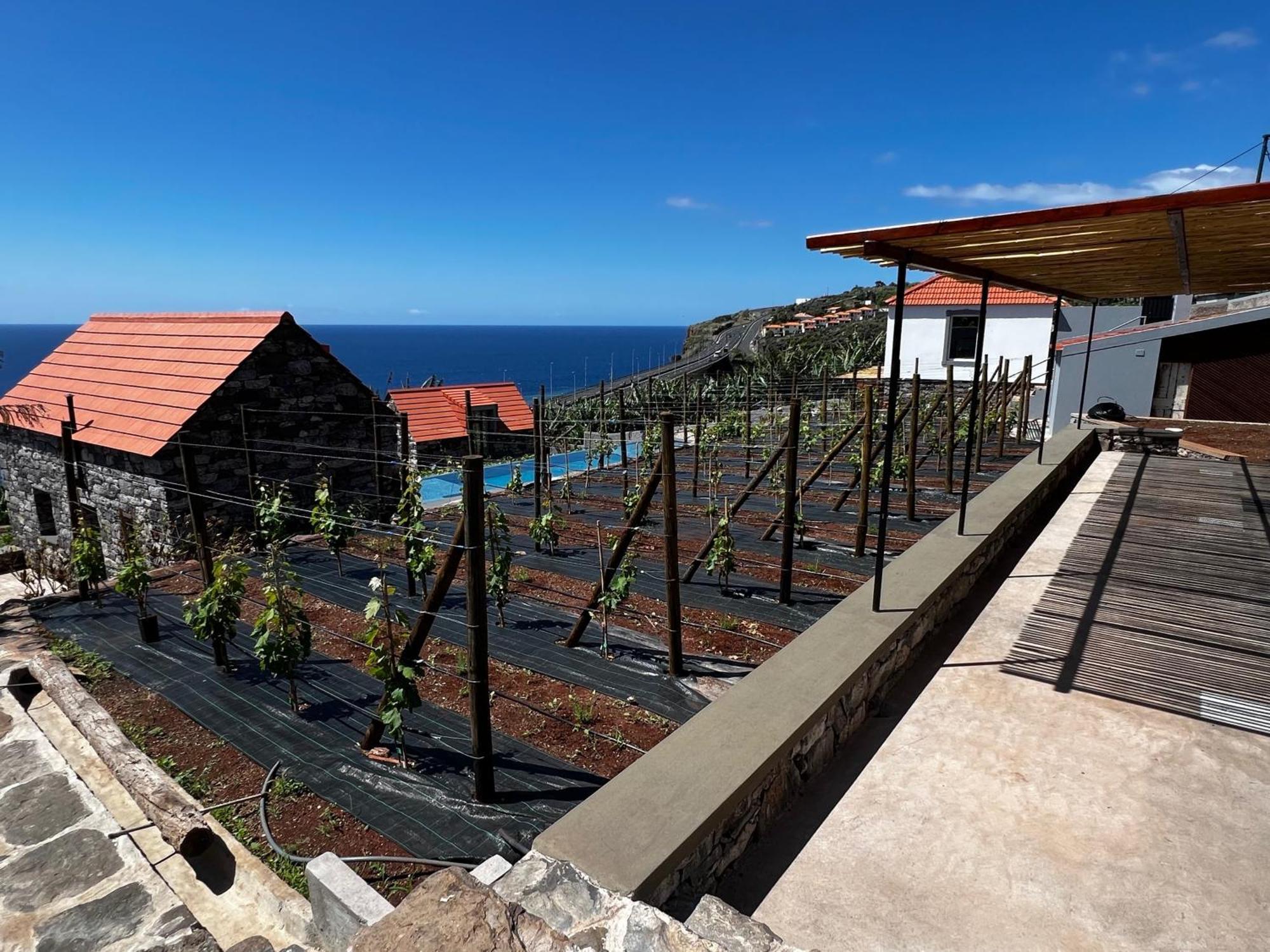 Gaula Casas Do Laranjo- Cottages & Infinity Pool מראה חיצוני תמונה